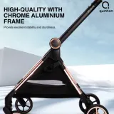 Quinton Mova Two-Way Facing Stroller — gallery 1