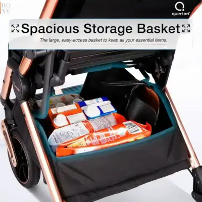 Quinton Roxy Autofold Stroller catalog image 1