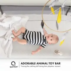 Quinton Dream2Gether Co-Sleeping Crib — gallery 3