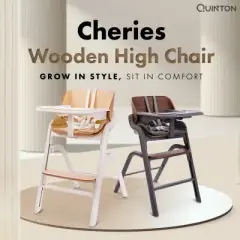 Baby Bouncer (High chair base not included) — gallery 1