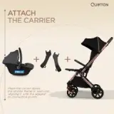 Roxy Adapter — gallery 2